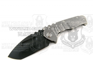 Medford knife 美国 梅德伏德 PT “Praetorian Genesis T 古罗马起源”定制钛金属柄手工 TANTO“折”