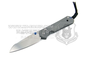 Chris Reeve 克里斯里夫 Insingo Large Sebenza S35VN 鹰爪沙本沙大号