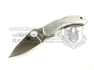 Spyderco 蜘蛛 C28p Dragonfly 蜻蜓“折”