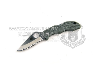 Spyderco 蜘蛛 LFGS3 Ladybug3 Foliage Green FRN 小瓢虫3代“折”