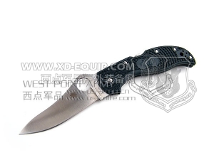 Spyderco 蜘蛛 C90PGRE Stretch ZDP-189 FRN柄“折”