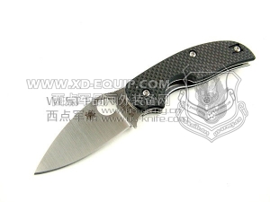 Spyderco 蜘蛛 C123CFP SAGE 