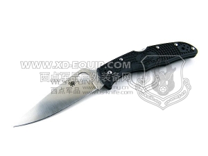 Spyderco 蜘蛛 C10FPBK Endura 4 Flat 颠峰战士FRN柄“折”