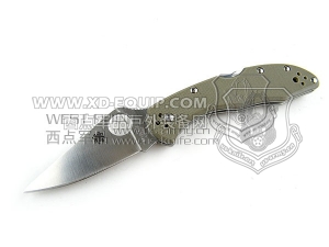 Spyderco 蜘蛛 C11GPFG Delica 4 FRN Foliage Green G-10柄“折”