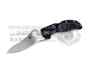 Spyderco 蜘蛛 C90PBK Stretch FRN柄“折”