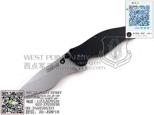 Kershaw 1595ALBLK 